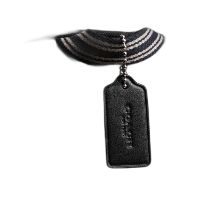 Coach Women's Cargo Backpack Silver/Black