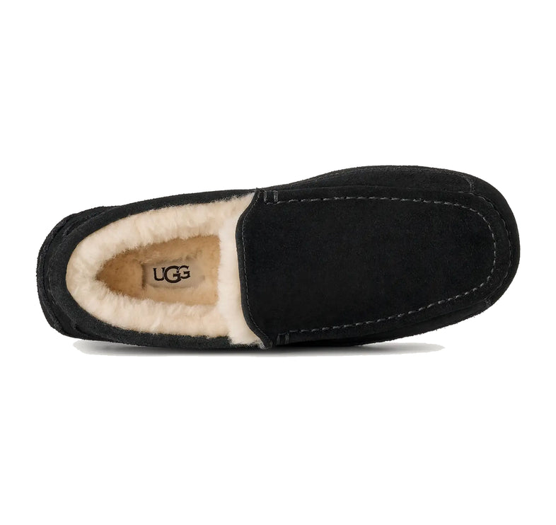 UGG Men's Ascot Black