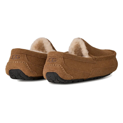 UGG Men's Ascot Chestnut