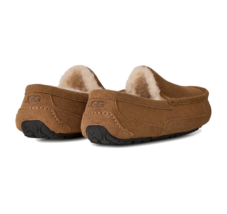 UGG Men's Ascot Chestnut