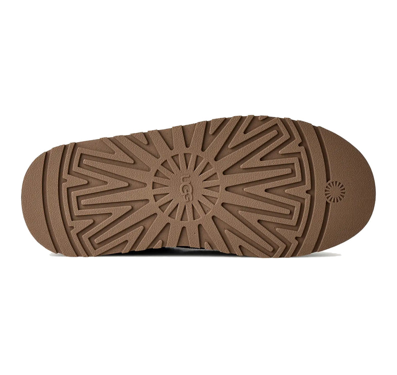 UGG Women's Tazz II Portobello