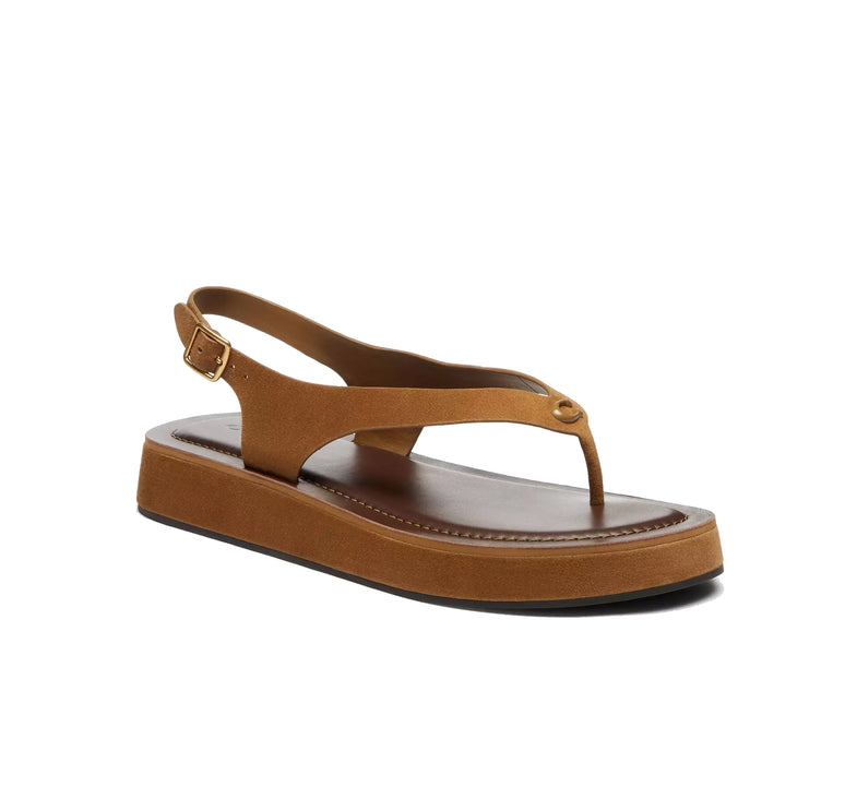 Coach Women's Sculpted C Platform Thong Sandal Coconut