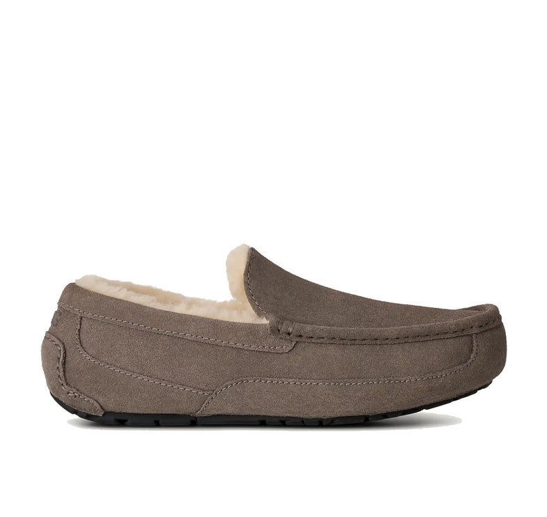 UGG Men's Ascot Grey