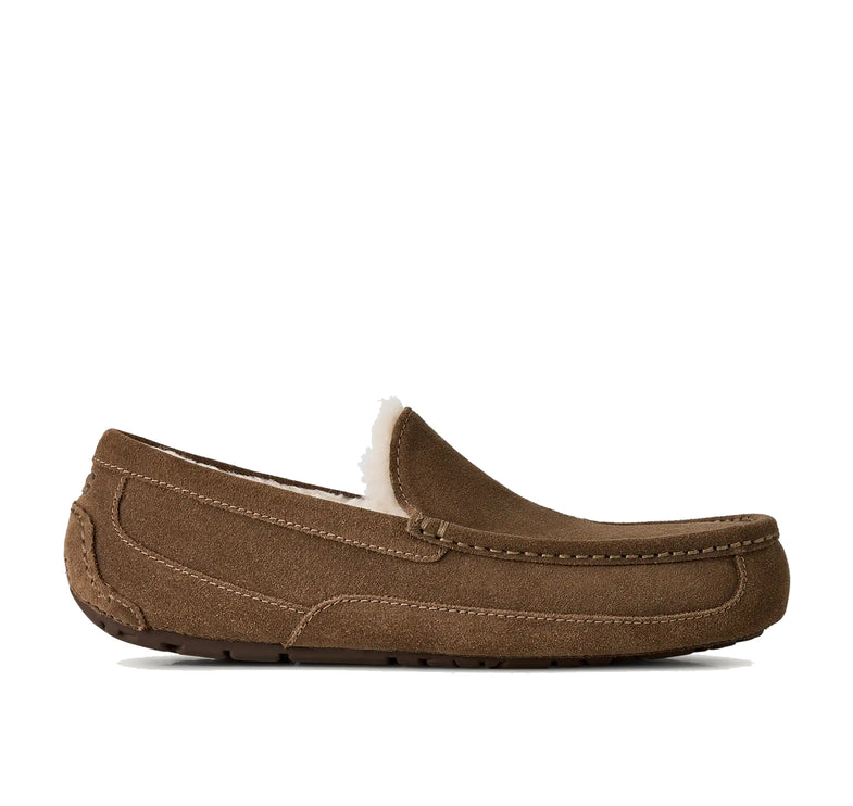 UGG Men's Ascot Light Bronze