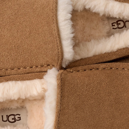 UGG Men's Ascot Chestnut