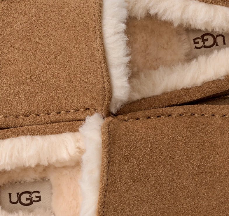 UGG Men's Ascot Chestnut