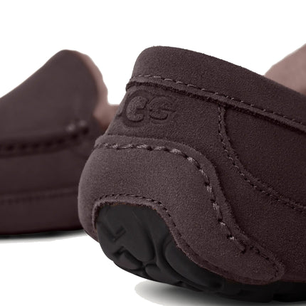 UGG Men's Ascot Dusted Cocoa