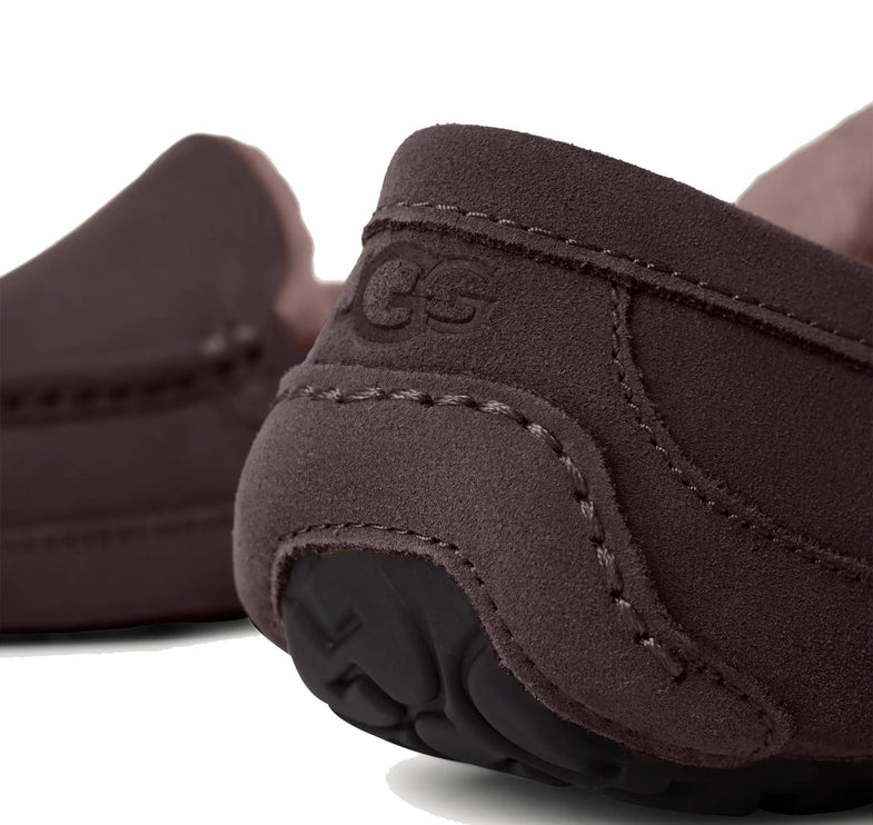 UGG Men's Ascot Dusted Cocoa