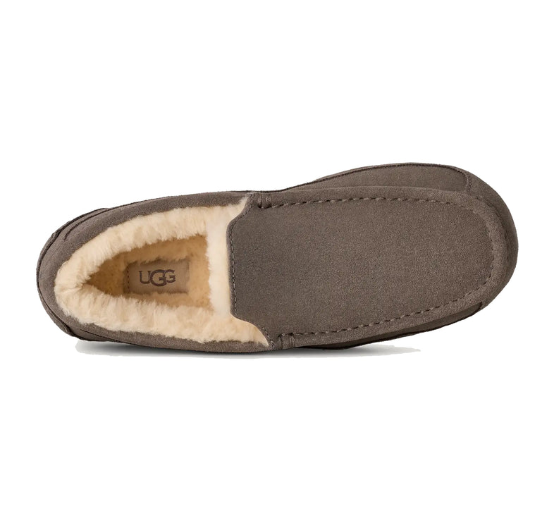 UGG Men's Ascot Grey