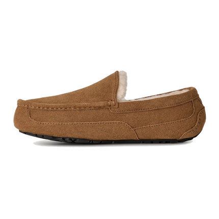 UGG Men's Ascot Chestnut