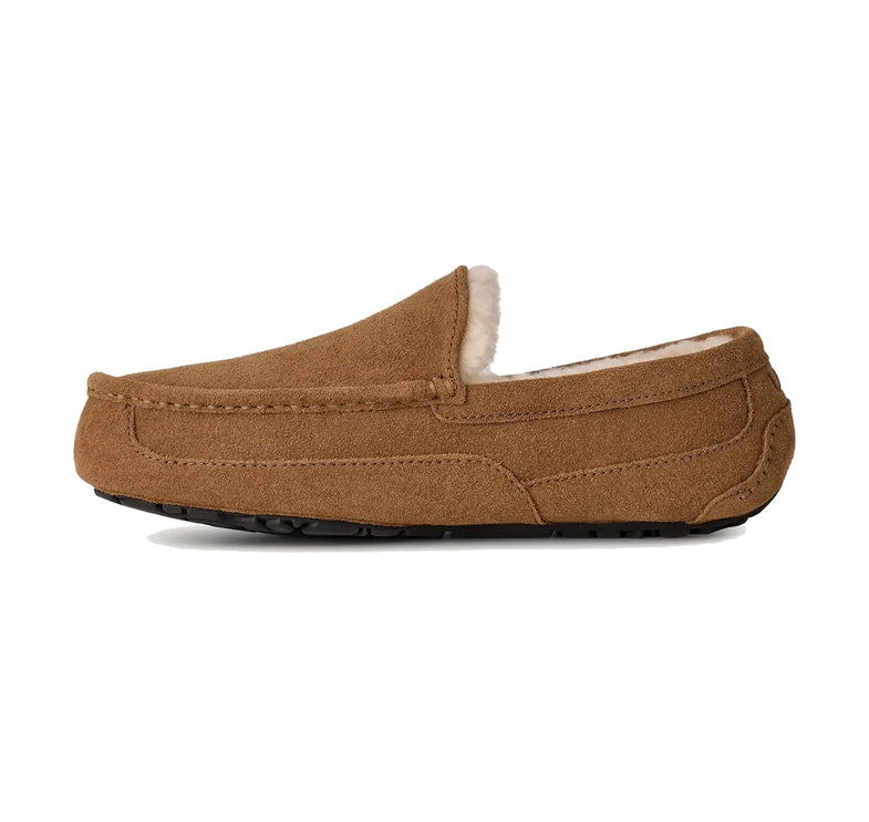 UGG Men's Ascot Chestnut