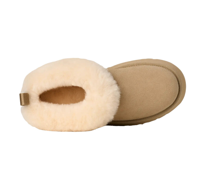 UGG Women's Tazzelle Mustard Seed