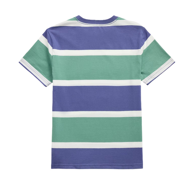 Polo Ralph Lauren Boy's Polo Bear Striped Cotton Jersey Tee Fairway Green Multi
