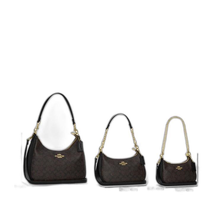 Coach Women's Teri Hobo Bag Gold/Black