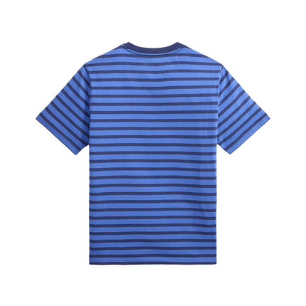 Polo Ralph Lauren Boy's Striped Cotton Jersey Tee Scottsdale Blue
