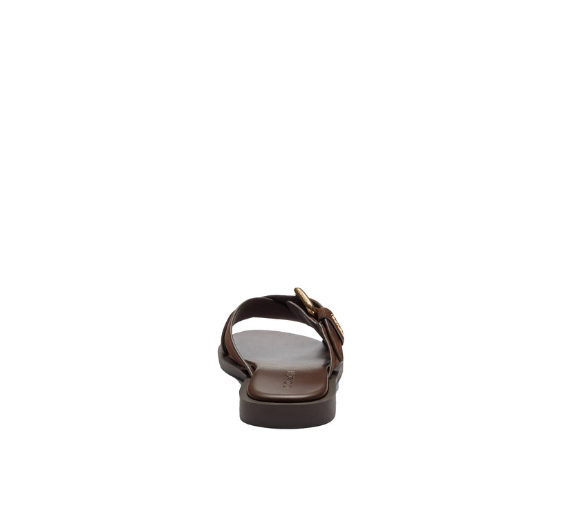 Coach Women's Crisscross Buckle Sandal Suede/Chocolate Brown