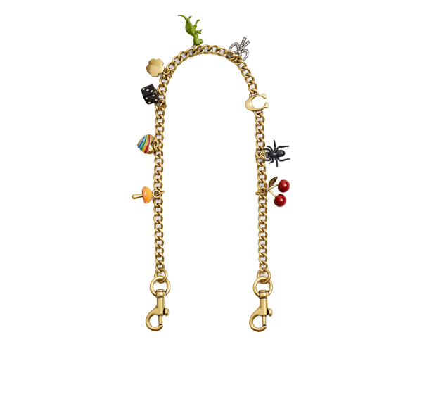 Coach Women's Chain Strap With Charms Brass/Multi