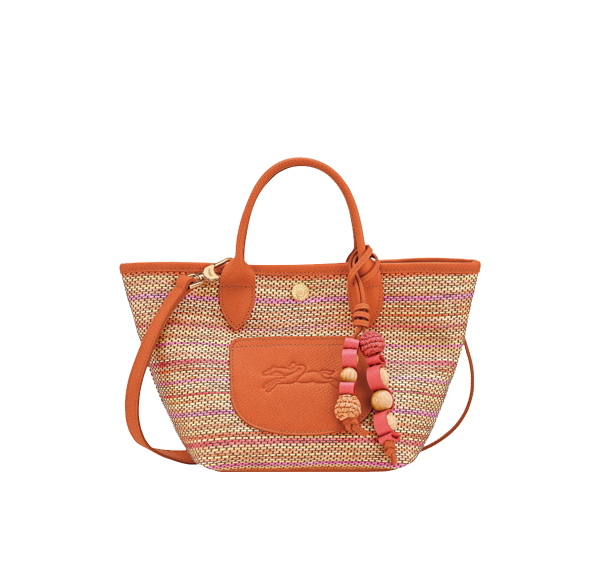 Longchamp Women's Le Pliage Collection XS Basket Bag Canvas Rainbow