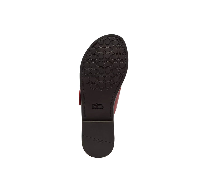 Coach Women's Crisscross Buckle Sandal Poppy