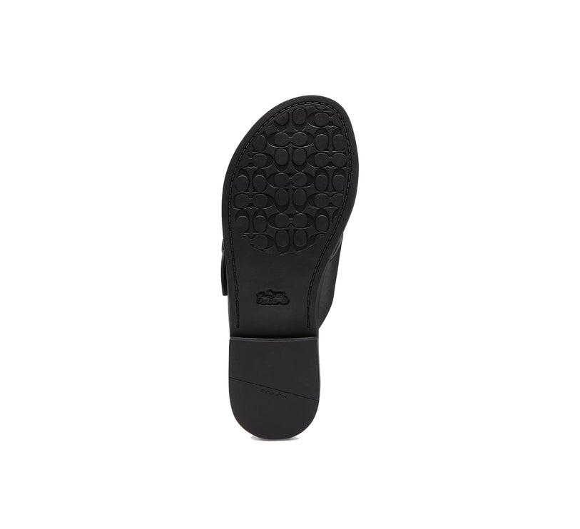 Coach Women's Crisscross Buckle Sandal Black