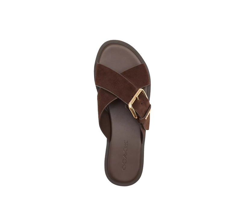 Coach Women's Crisscross Buckle Sandal Suede/Chocolate Brown