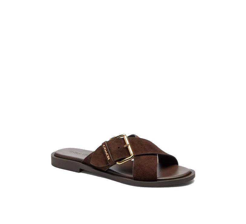 Coach Women's Crisscross Buckle Sandal Suede/Chocolate Brown