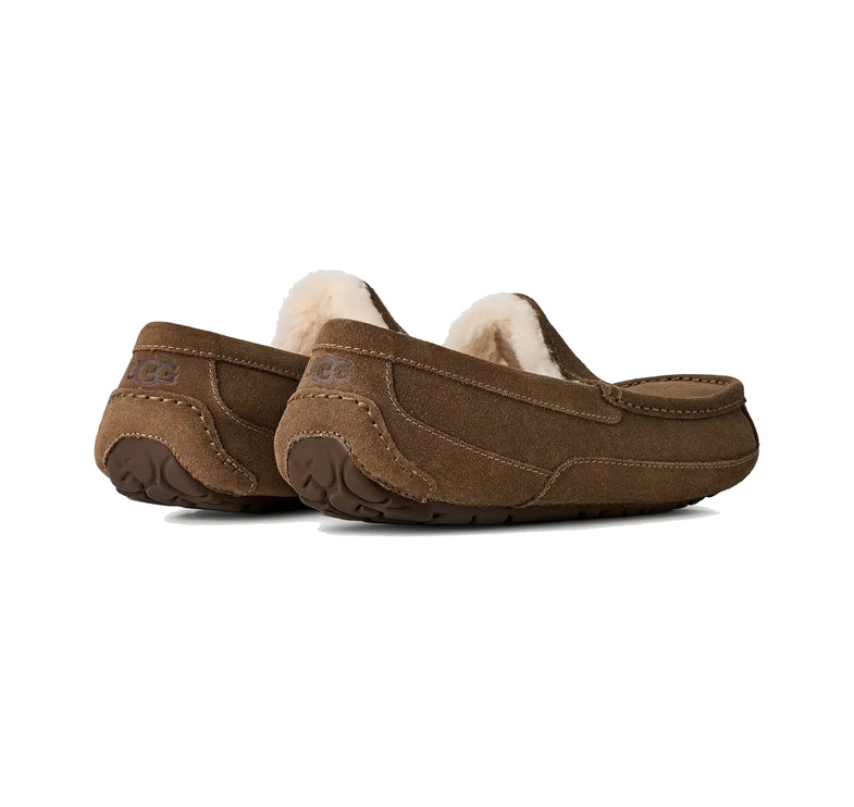 UGG Men's Ascot Light Bronze