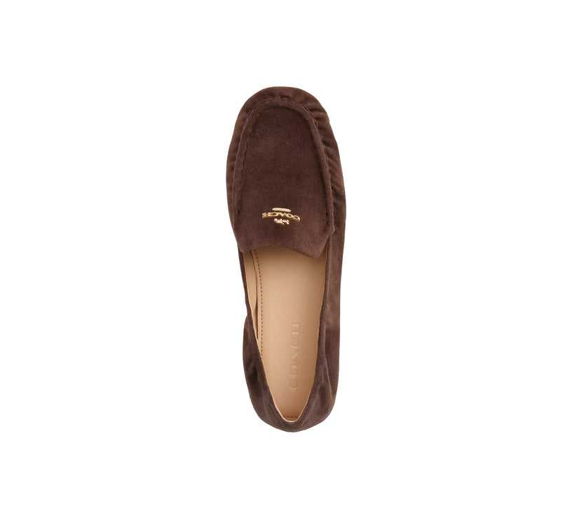 Coach Women's Phoebe Soft Loafer Suede/Maple