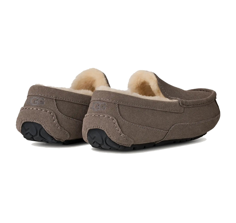 UGG Men's Ascot Grey