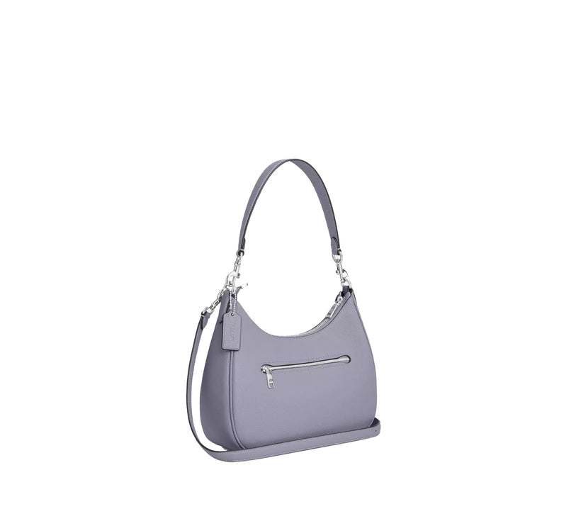 Coach Women's Teri Hobo Bag Silver/Mist