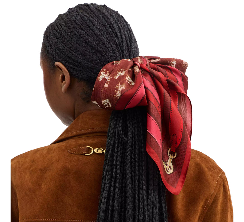 Coach Women's Horse And Carriage Bag Strap Print Silk Square Scarf Wine/Chalk