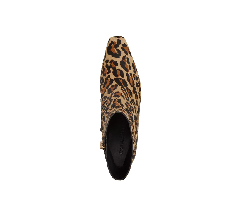 Coach Women's Kitten Heel Bootie With Leopard Print Tan & Black