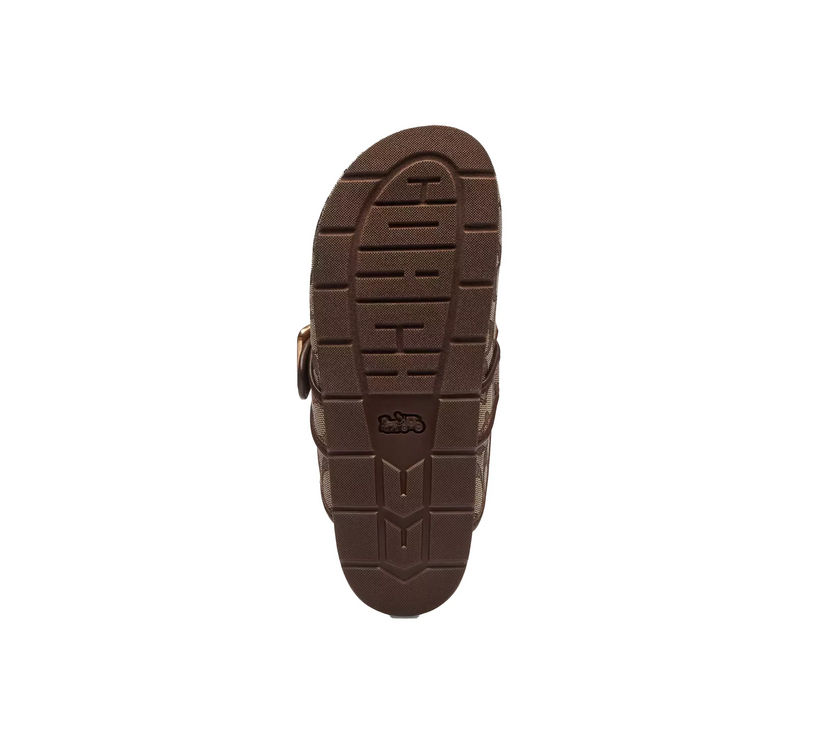 Coach Women's Archival Buckle Clog In Signature Jacquard Oak/Maple