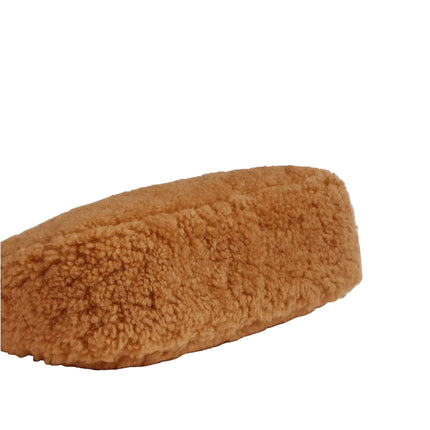 Coach Women's Teri Mini Crossbody Bag In Shearling Gold