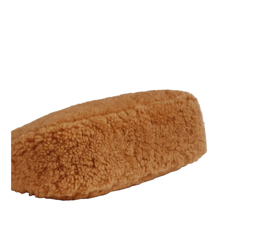 Coach Women's Teri Mini Crossbody Bag In Shearling Gold