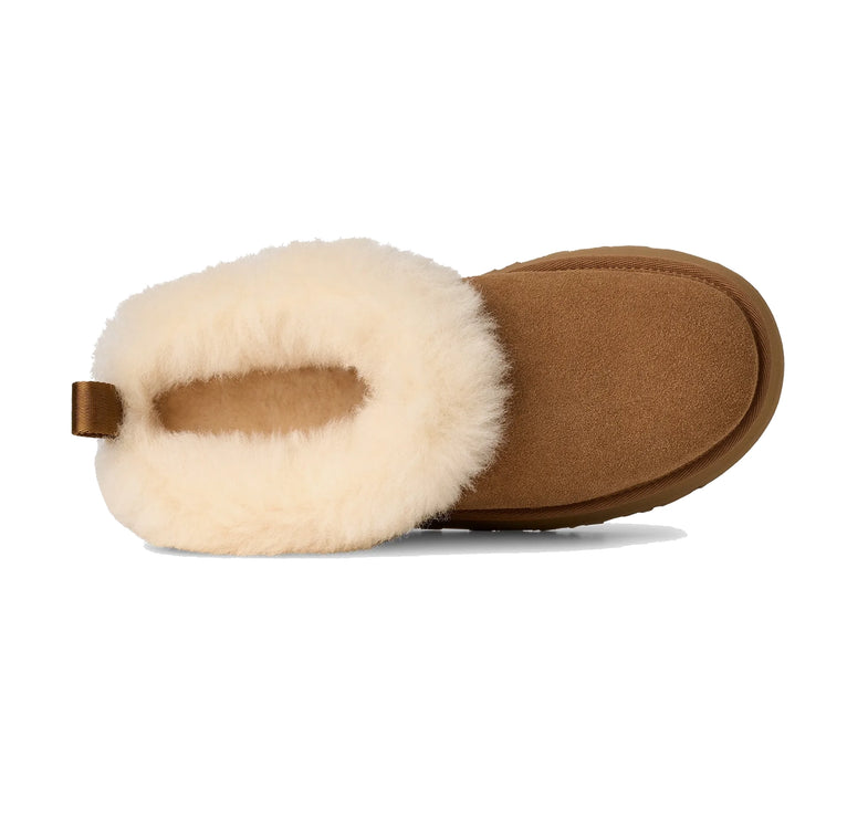 UGG Tazzelle kadın terliği, kahverengi (chestnut) süet