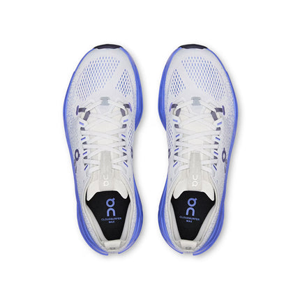 ON Men's Cloudsurfer Max Wolf/Sailor