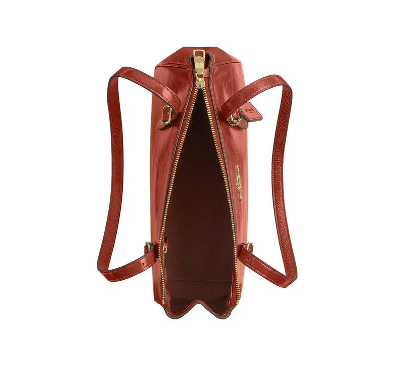 Coach Women's Asher Shoulder Bag Gold/Cinnamon