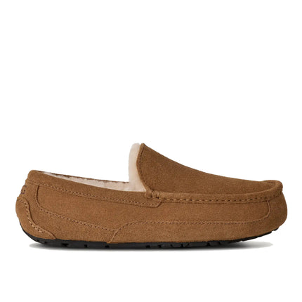 UGG Men's Ascot Chestnut