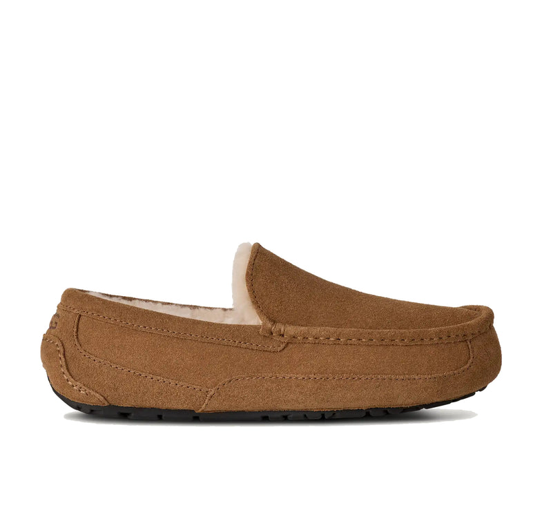 UGG Men's Ascot Chestnut