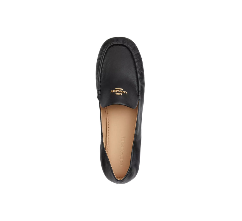 Coach Women's Phoebe Soft Loafer Black