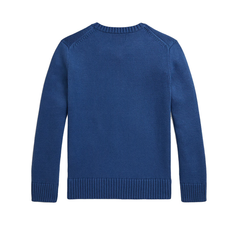 Polo Ralph Lauren Boy's Polo Bear Sweater Old Royal