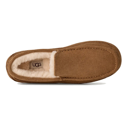 UGG Men's Ascot Chestnut