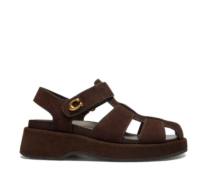Coach Women's Sculpted C Fisherman Sandal Suede/Chocolate Brown
