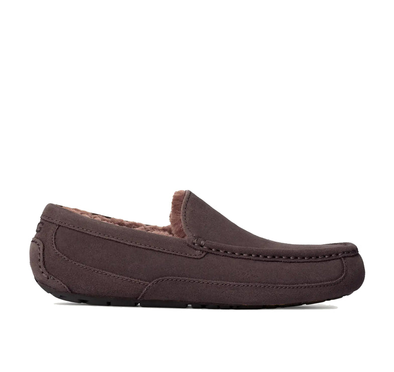 UGG Men's Ascot Dusted Cocoa
