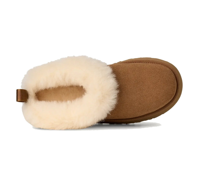 UGG Women's Tazzelle Chestnut