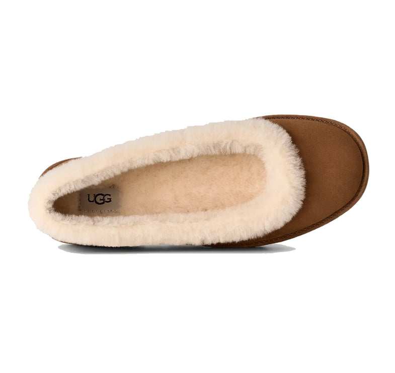 UGG Women's Zora Ballet Flat Chestnut