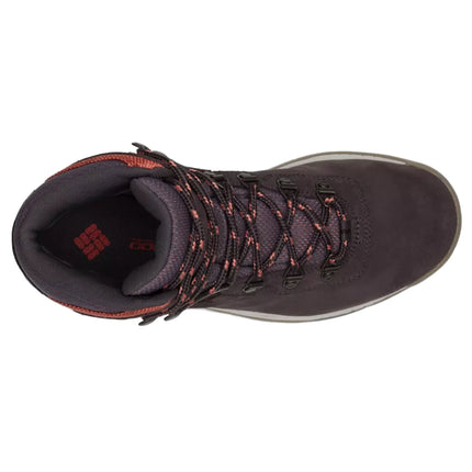Columbia Women’s Newton Ridge Plus Waterproof Amped Hiking Boot Timber/Cinder