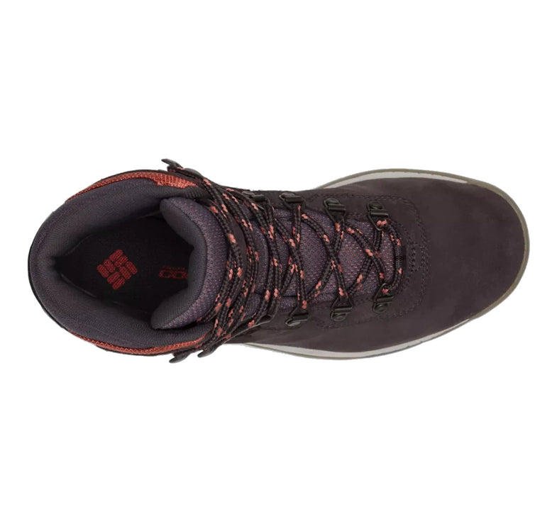 Columbia Women’s Newton Ridge Plus Waterproof Amped Hiking Boot Timber/Cinder