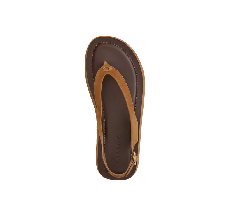 Coach Women's Sculpted C Platform Thong Sandal Coconut